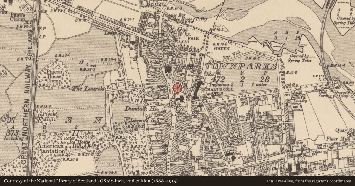 Ordnance Survey six-inch map, 2nd edition (1888–1915) covering the location of Excavation - miscellaneous, Townparks, County Louth, with a pin at the register's coordinates