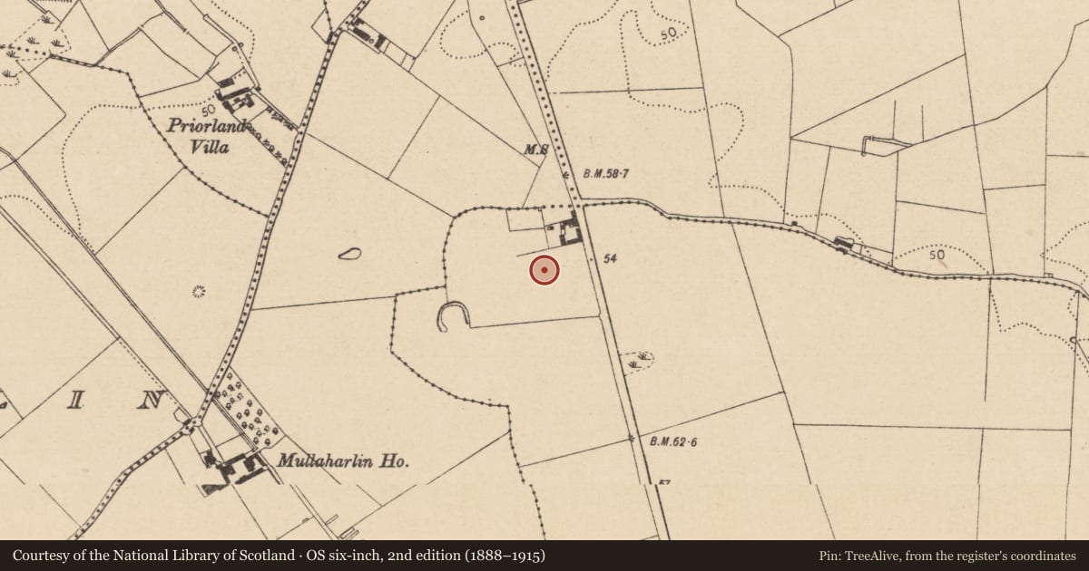 Ordnance Survey six-inch map, 2nd edition (1888–1915) covering the location of Fulacht fia, Haggardstown, County Louth, with a pin at the register's coordinates