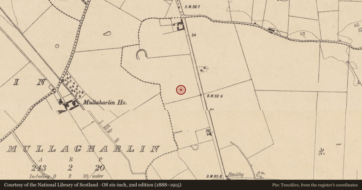 Ordnance Survey six-inch map, 2nd edition (1888–1915) covering the location of Habitation site, Haggardstown, County Louth, with a pin at the register's coordinates