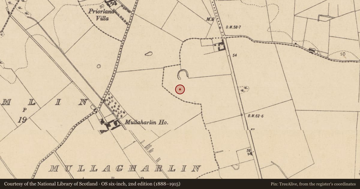 Ordnance Survey six-inch map, 2nd edition (1888–1915) covering the location of Souterrain, Haggardstown, County Louth, with a pin at the register's coordinates