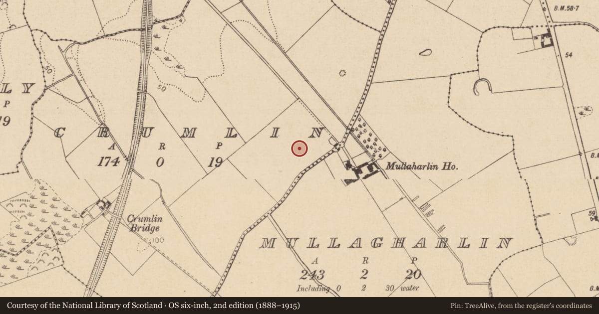 Ordnance Survey six-inch map, 2nd edition (1888–1915) covering the location of Rock art, Crumlin, County Louth, with a pin at the register's coordinates