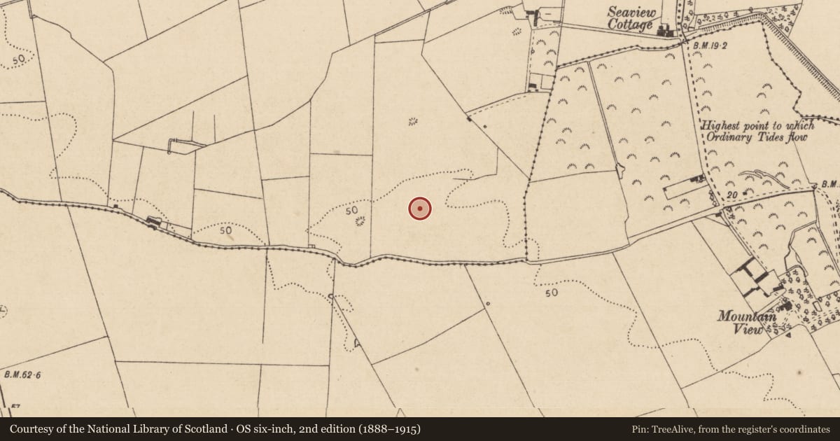 Ordnance Survey six-inch map, 2nd edition (1888–1915) covering the location of Enclosure, Marshes Upper, County Louth, with a pin at the register's coordinates