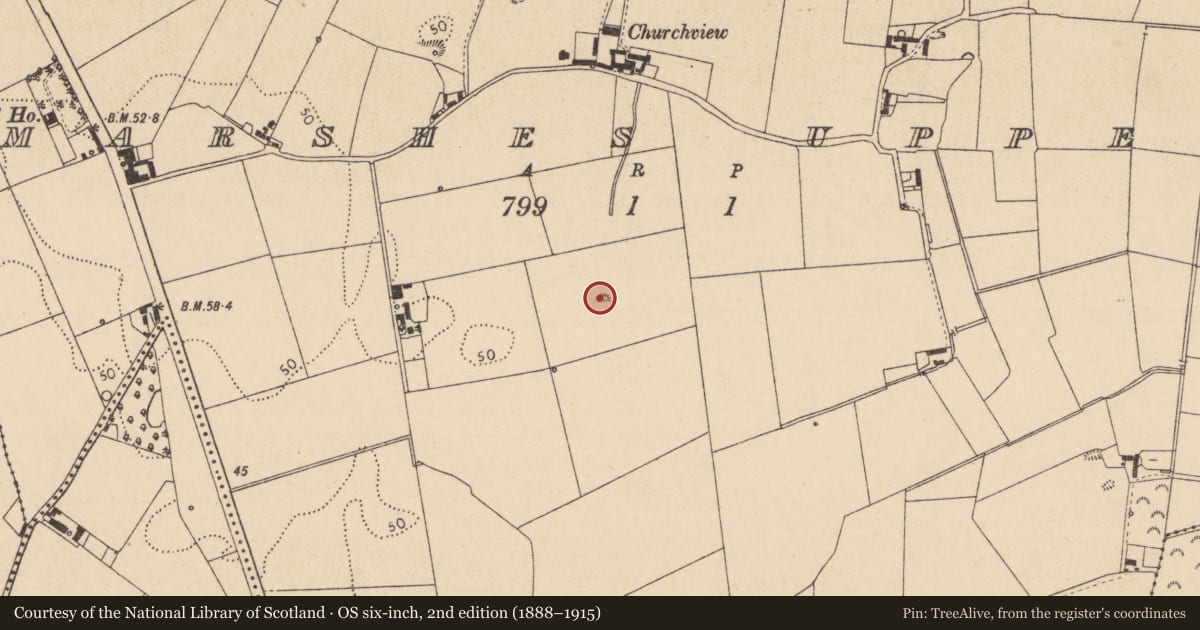 Ordnance Survey six-inch map, 2nd edition (1888–1915) covering the location of Souterrain, Marshes Upper, County Louth, with a pin at the register's coordinates