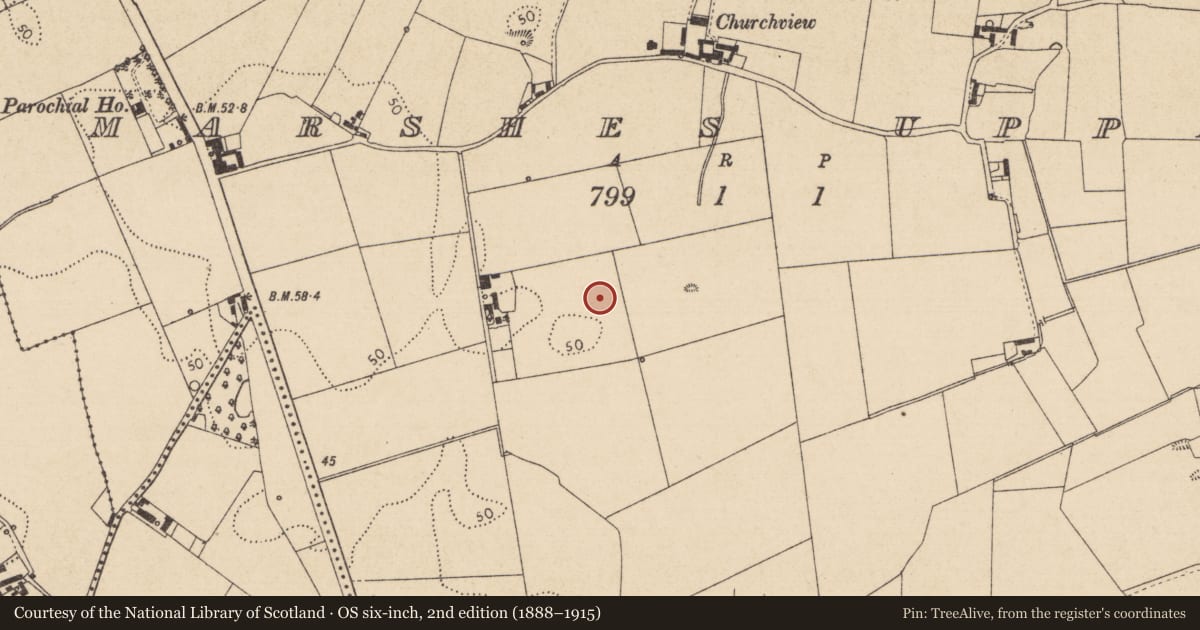 Ordnance Survey six-inch map, 2nd edition (1888–1915) covering the location of Cremated remains, Marshes Upper, County Louth, with a pin at the register's coordinates
