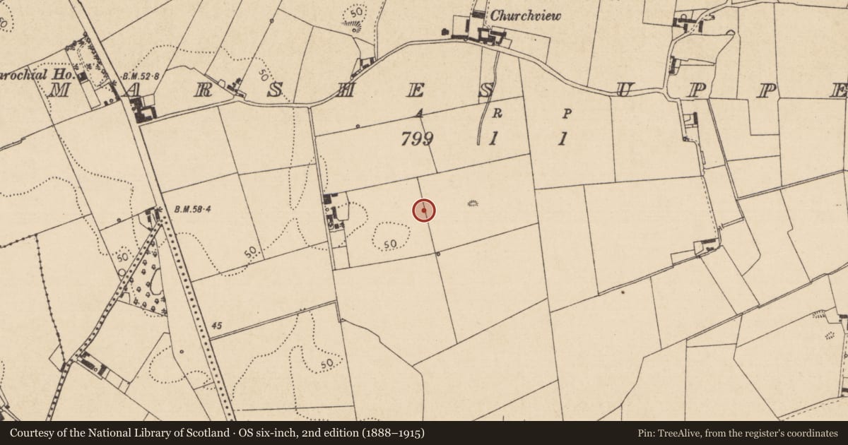 Ordnance Survey six-inch map, 2nd edition (1888–1915) covering the location of Excavation - miscellaneous, Marshes Upper, County Louth, with a pin at the register's coordinates