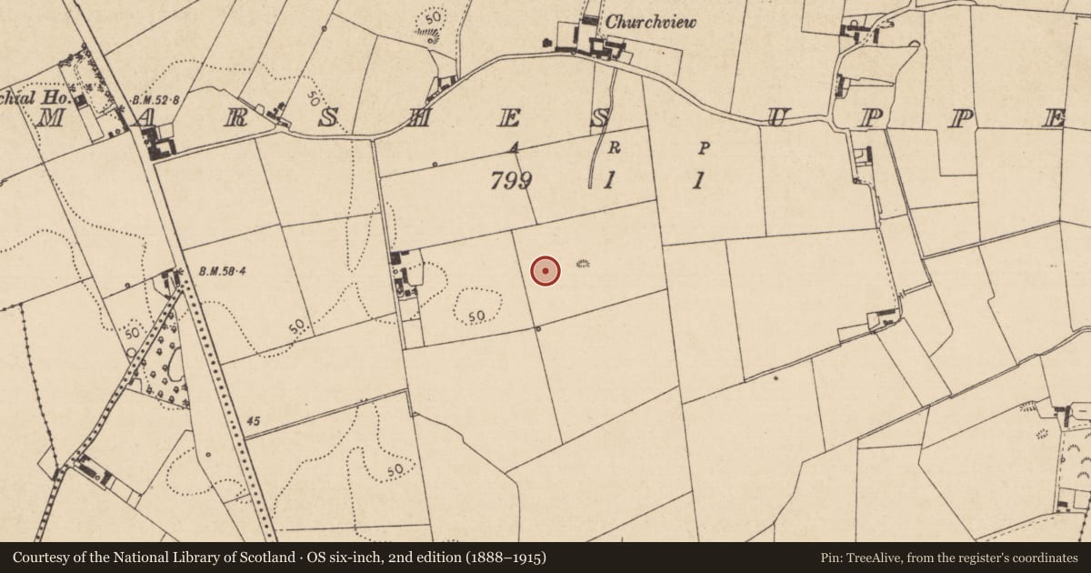 Ordnance Survey six-inch map, 2nd edition (1888–1915) covering the location of Kiln - corn-drying, Marshes Upper, County Louth, with a pin at the register's coordinates