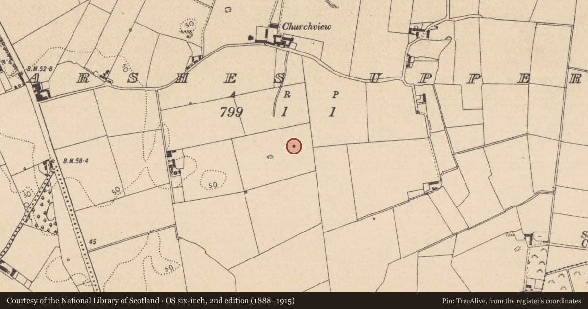 Ordnance Survey six-inch map, 2nd edition (1888–1915) covering the location of Habitation site, Marshes Upper, County Louth, with a pin at the register's coordinates