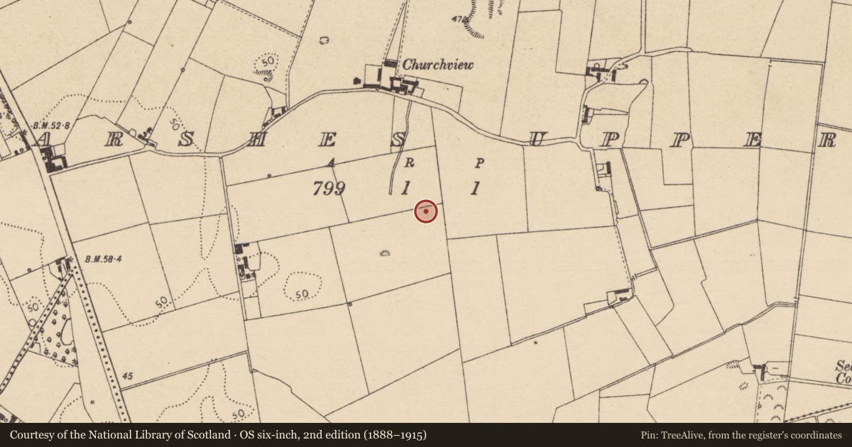 Ordnance Survey six-inch map, 2nd edition (1888–1915) covering the location of Structure, Marshes Upper, County Louth, with a pin at the register's coordinates