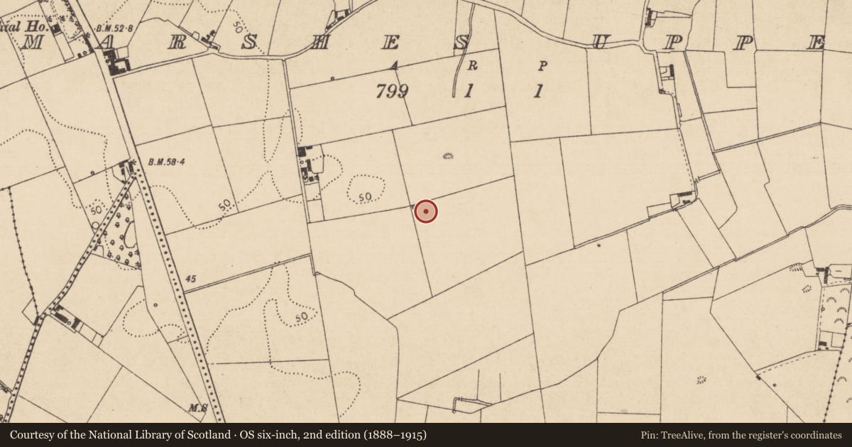 Ordnance Survey six-inch map, 2nd edition (1888–1915) covering the location of Hearth, Marshes Upper, County Louth, with a pin at the register's coordinates