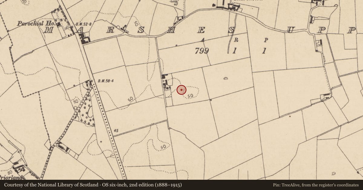 Ordnance Survey six-inch map, 2nd edition (1888–1915) covering the location of Furnace, Marshes Upper, County Louth, with a pin at the register's coordinates