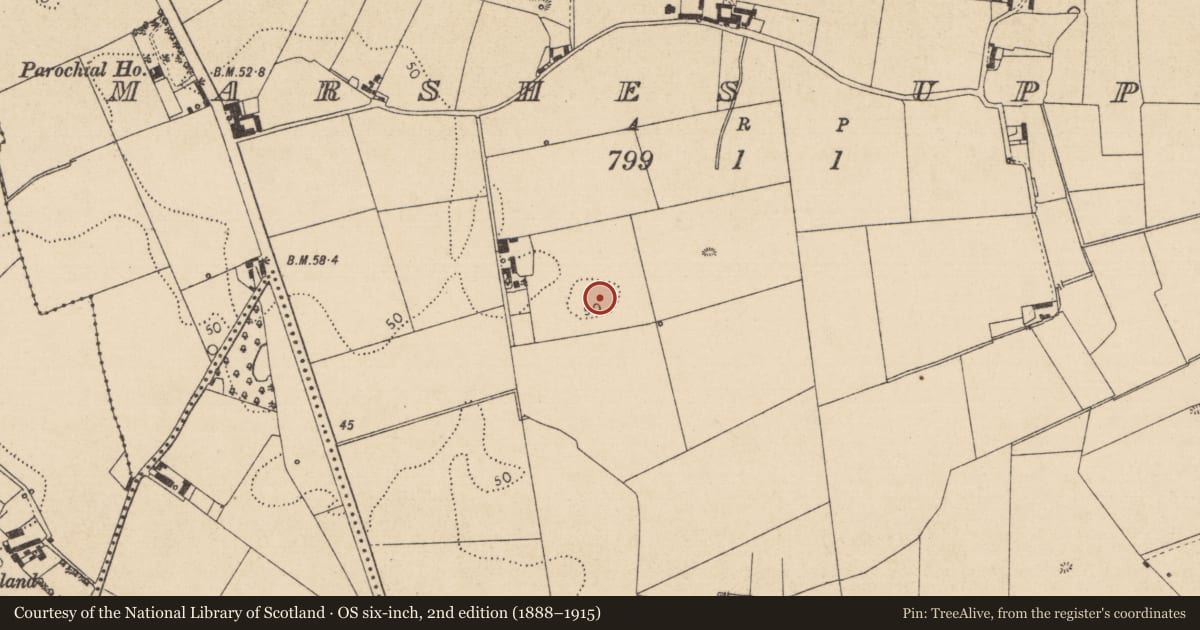 Ordnance Survey six-inch map, 2nd edition (1888–1915) covering the location of Excavation - miscellaneous, Marshes Upper, County Louth, with a pin at the register's coordinates