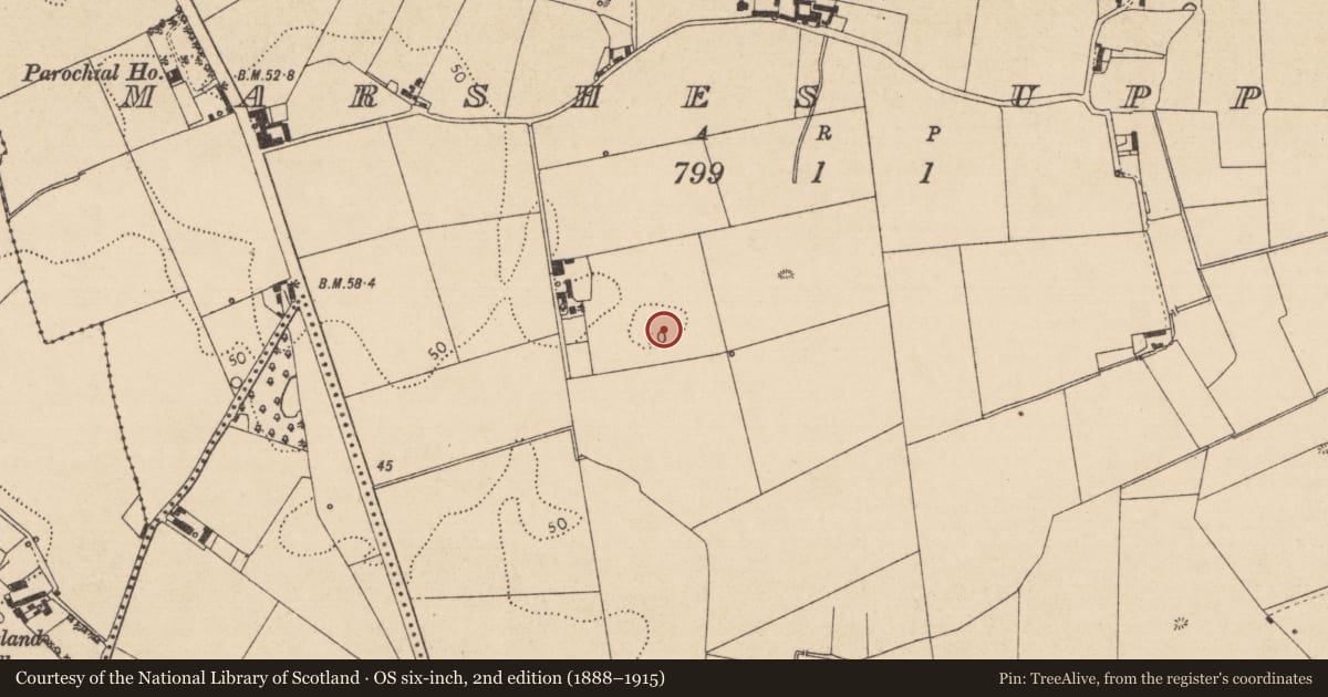 Ordnance Survey six-inch map, 2nd edition (1888–1915) covering the location of Kiln - corn-drying, Marshes Upper, County Louth, with a pin at the register's coordinates