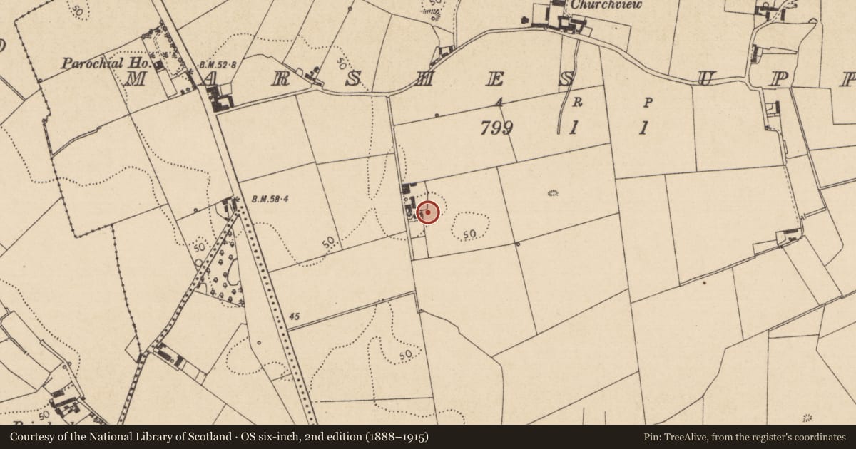 Ordnance Survey six-inch map, 2nd edition (1888–1915) covering the location of Hearth, Marshes Upper, County Louth, with a pin at the register's coordinates