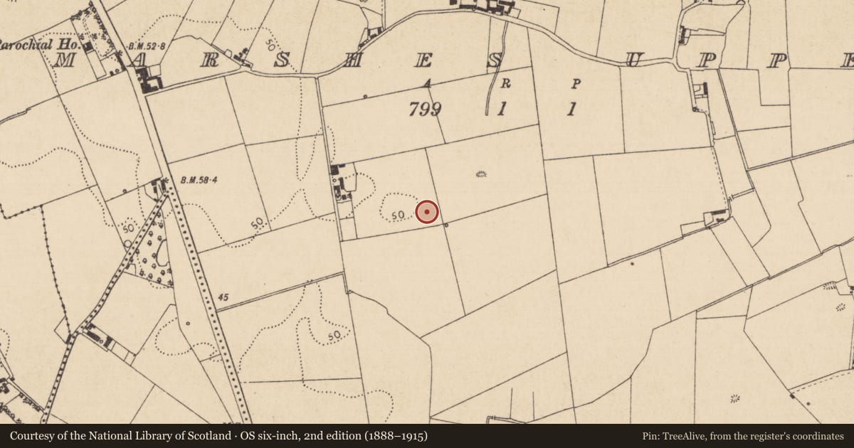 Ordnance Survey six-inch map, 2nd edition (1888–1915) covering the location of Enclosure, Marshes Upper, County Louth, with a pin at the register's coordinates