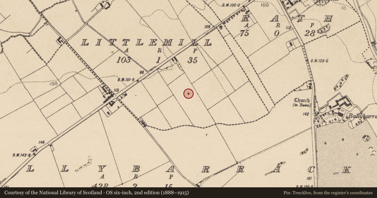 Ordnance Survey six-inch map, 2nd edition (1888–1915) covering the location of Excavation - miscellaneous, Littlemill, County Louth, with a pin at the register's coordinates