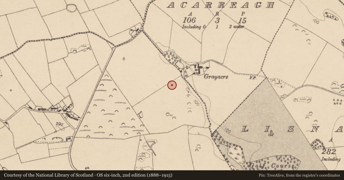 Ordnance Survey six-inch map, 2nd edition (1888–1915) covering the location of Excavation - miscellaneous, Donaghmore, County Louth, with a pin at the register's coordinates