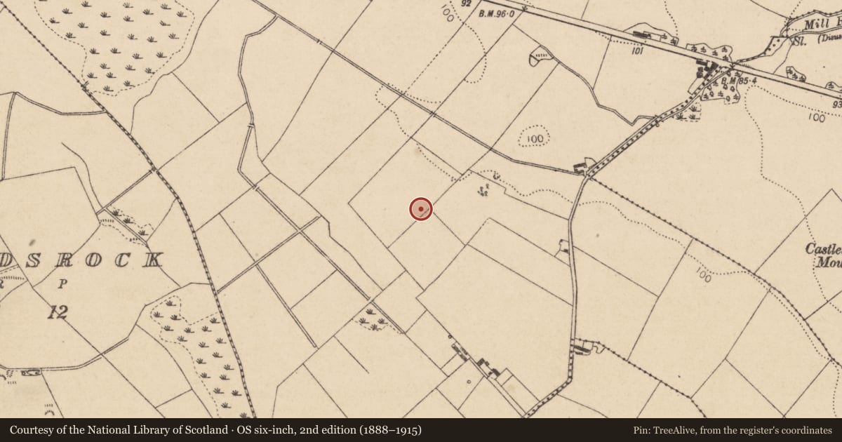 Ordnance Survey six-inch map, 2nd edition (1888–1915) covering the location of Habitation site, Newtownbalregan, County Louth, with a pin at the register's coordinates