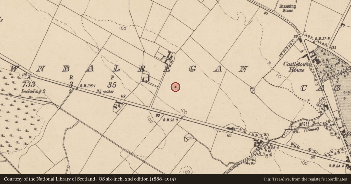 Ordnance Survey six-inch map, 2nd edition (1888–1915) covering the location of Souterrain, Newtownbalregan, County Louth, with a pin at the register's coordinates