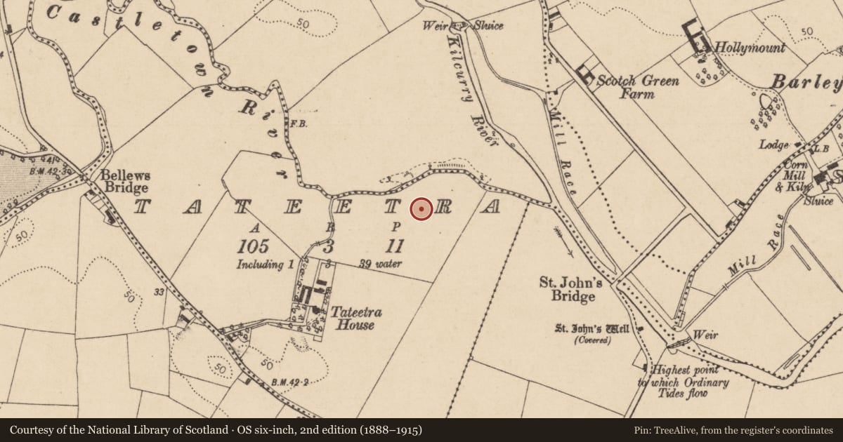 Ordnance Survey six-inch map, 2nd edition (1888–1915) covering the location of Souterrain, Tateetra, County Louth, with a pin at the register's coordinates