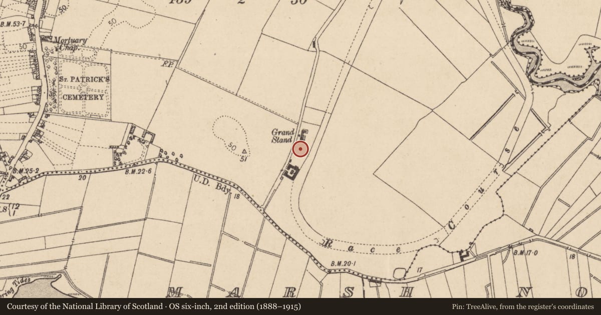 Ordnance Survey six-inch map, 2nd edition (1888–1915) covering the location of Field system, Dowdallshill, County Louth, with a pin at the register's coordinates