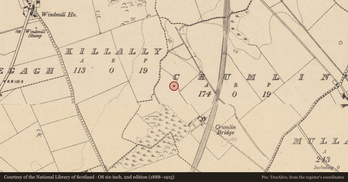 Ordnance Survey six-inch map, 2nd edition (1888–1915) covering the location of Enclosure, Crumlin, County Louth, with a pin at the register's coordinates
