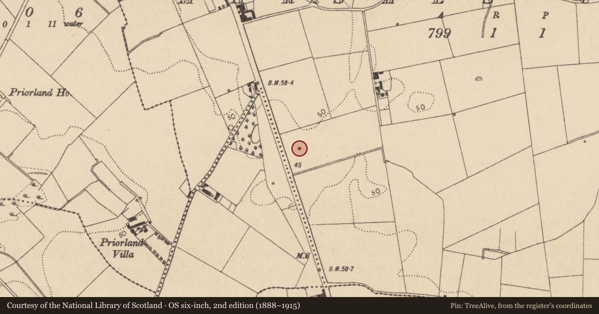 Ordnance Survey six-inch map, 2nd edition (1888–1915) covering the location of Fulacht fia, Marshes Upper, County Louth, with a pin at the register's coordinates