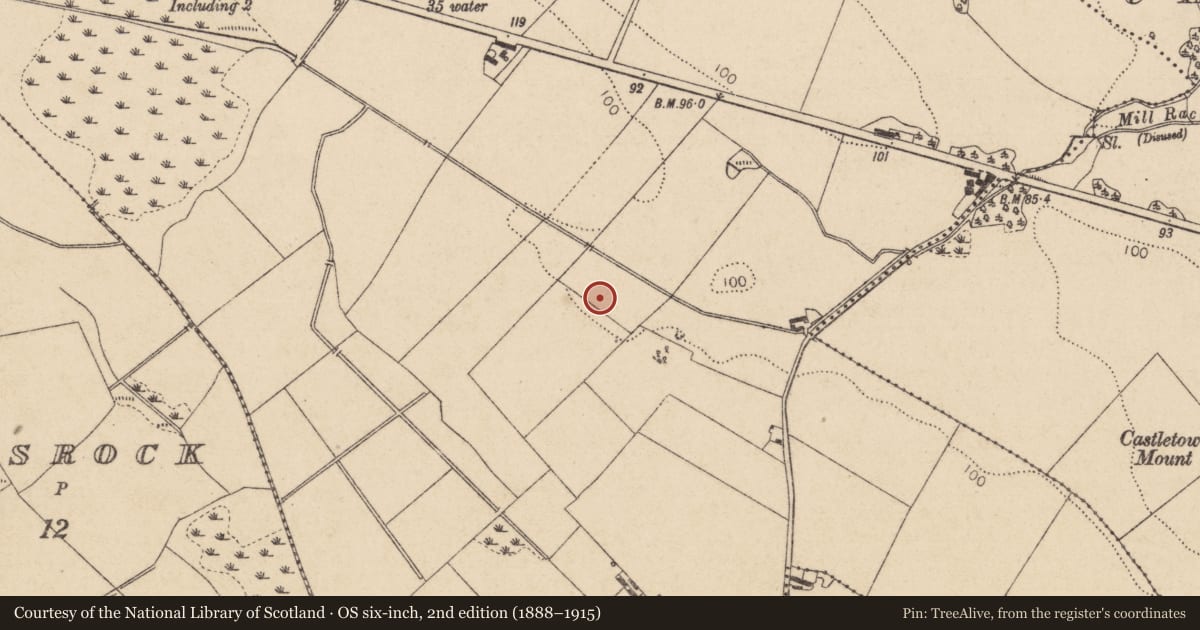 Ordnance Survey six-inch map, 2nd edition (1888–1915) covering the location of Fulacht fia, Newtownbalregan, County Louth, with a pin at the register's coordinates