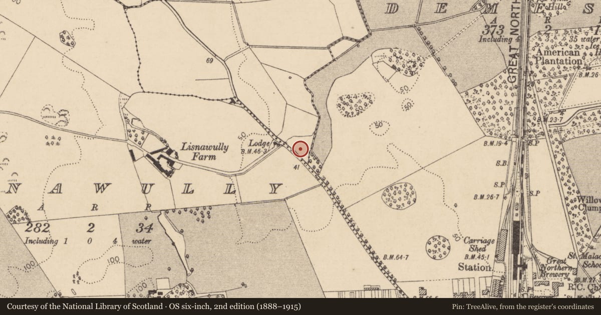 Ordnance Survey six-inch map, 2nd edition (1888–1915) covering the location of Standing stone, Farrandreg, County Louth, with a pin at the register's coordinates