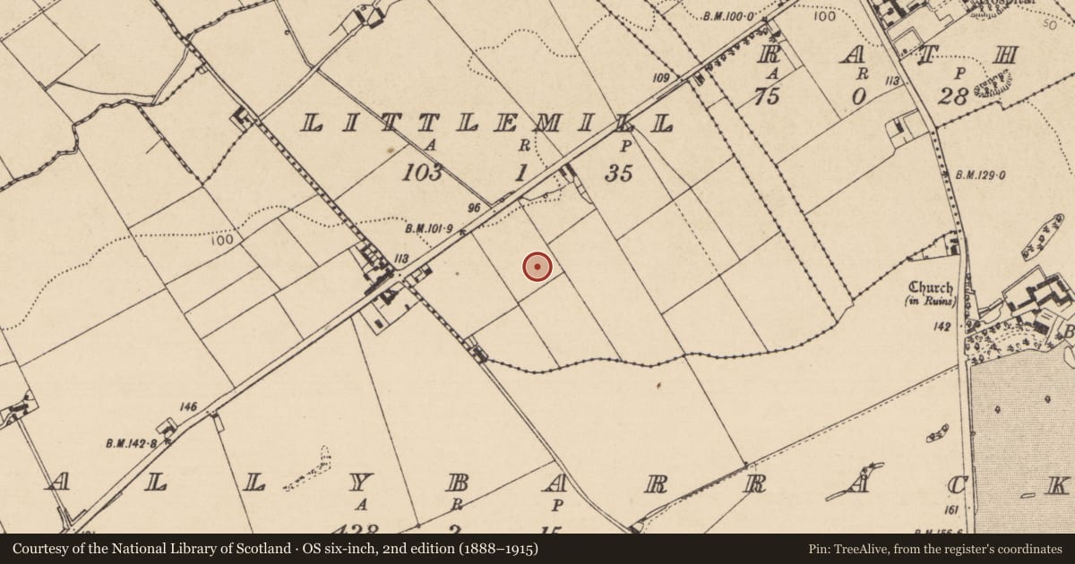 Ordnance Survey six-inch map, 2nd edition (1888–1915) covering the location of Souterrain, Littlemill, County Louth, with a pin at the register's coordinates