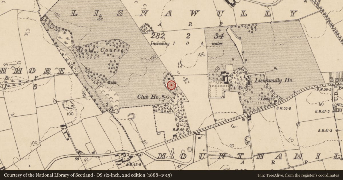 Ordnance Survey six-inch map, 2nd edition (1888–1915) covering the location of Rock art, Lisnawully, County Louth, with a pin at the register's coordinates
