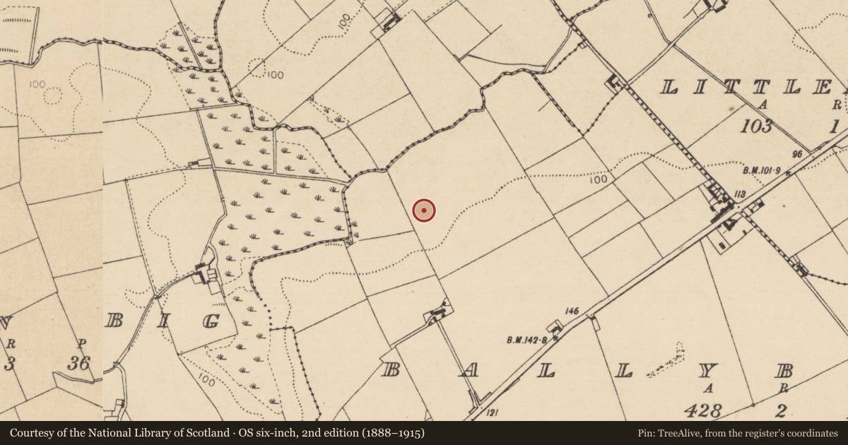 Ordnance Survey six-inch map, 2nd edition (1888–1915) covering the location of Enclosure, Ballybarrack, County Louth, with a pin at the register's coordinates