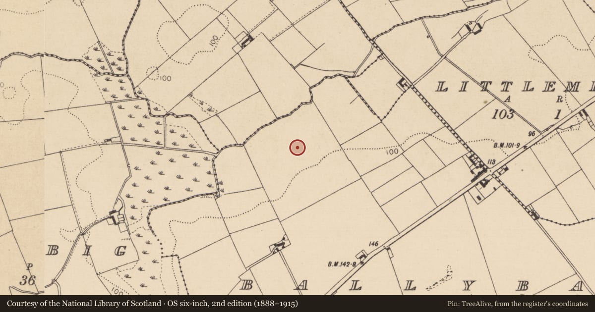 Ordnance Survey six-inch map, 2nd edition (1888–1915) covering the location of Enclosure, Ballybarrack, County Louth, with a pin at the register's coordinates