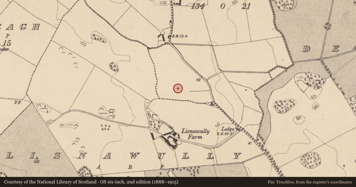 Ordnance Survey six-inch map, 2nd edition (1888–1915) covering the location of Standing stone, Farrandreg, County Louth, with a pin at the register's coordinates