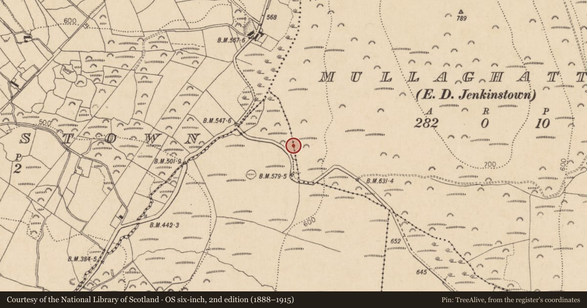 Ordnance Survey six-inch map, 2nd edition (1888–1915) covering the location of Fulacht fia, Rockmarshall, County Louth, with a pin at the register's coordinates