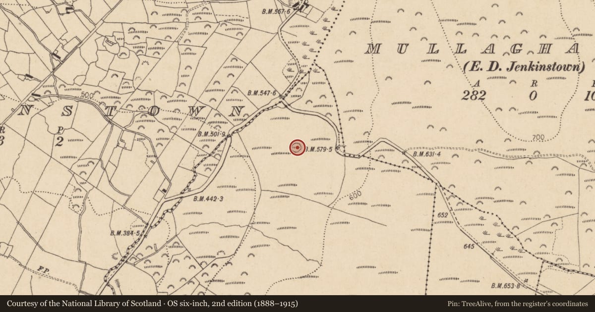 Ordnance Survey six-inch map, 2nd edition (1888–1915) covering the location of Ringfort - rath, Rockmarshall, County Louth, with a pin at the register's coordinates