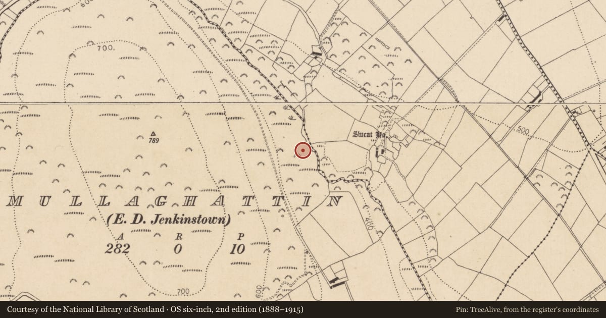 Ordnance Survey six-inch map, 2nd edition (1888–1915) covering the location of Enclosure, Mullaghattin (Dundalk Lwr by, County Louth, with a pin at the register's coordinates