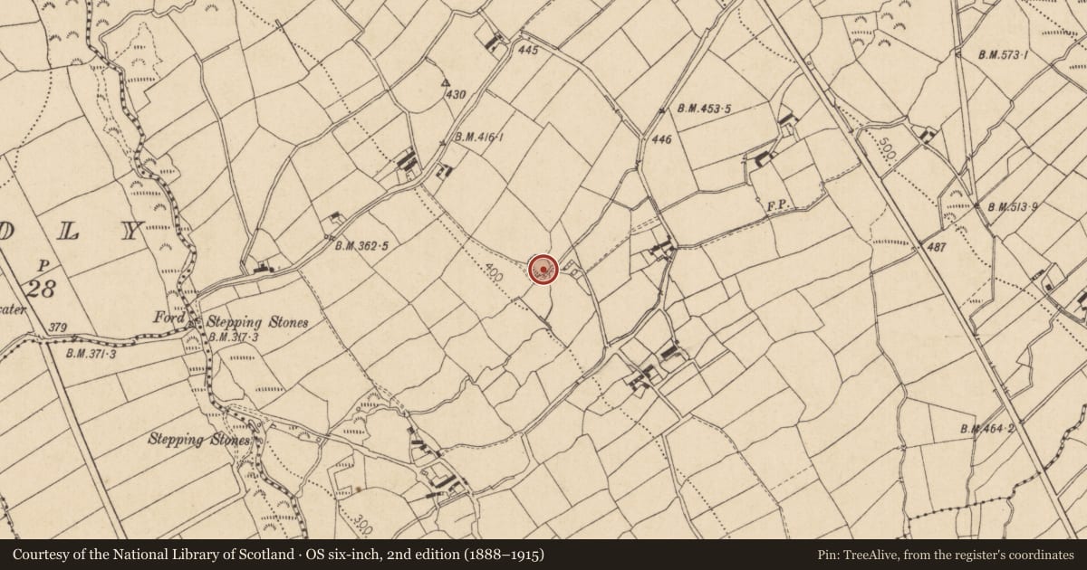 Ordnance Survey six-inch map, 2nd edition (1888–1915) covering the location of Ringfort - rath, Glenmore, County Louth, with a pin at the register's coordinates
