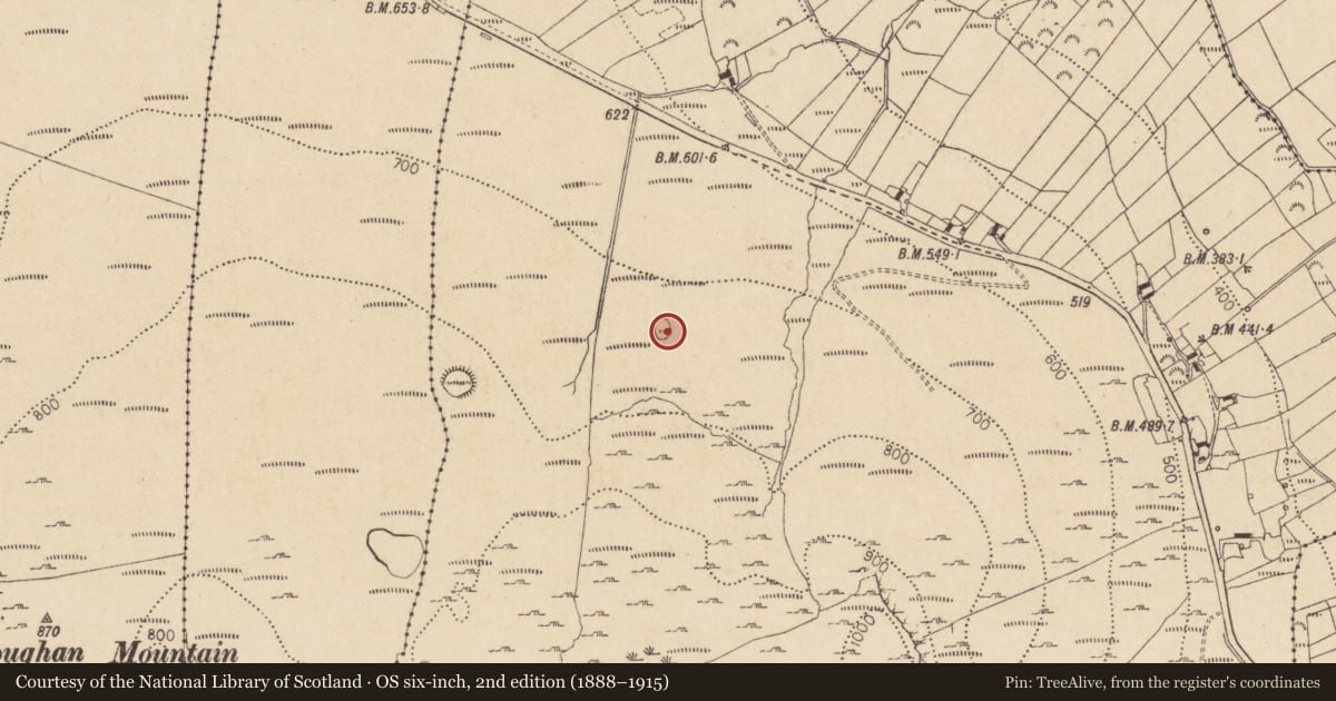 Ordnance Survey six-inch map, 2nd edition (1888–1915) covering the location of Enclosure, Slievenaglogh, County Louth, with a pin at the register's coordinates