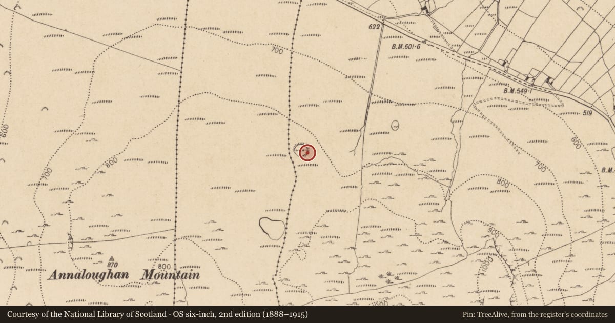 Ordnance Survey six-inch map, 2nd edition (1888–1915) covering the location of Enclosure, Slievenaglogh, County Louth, with a pin at the register's coordinates