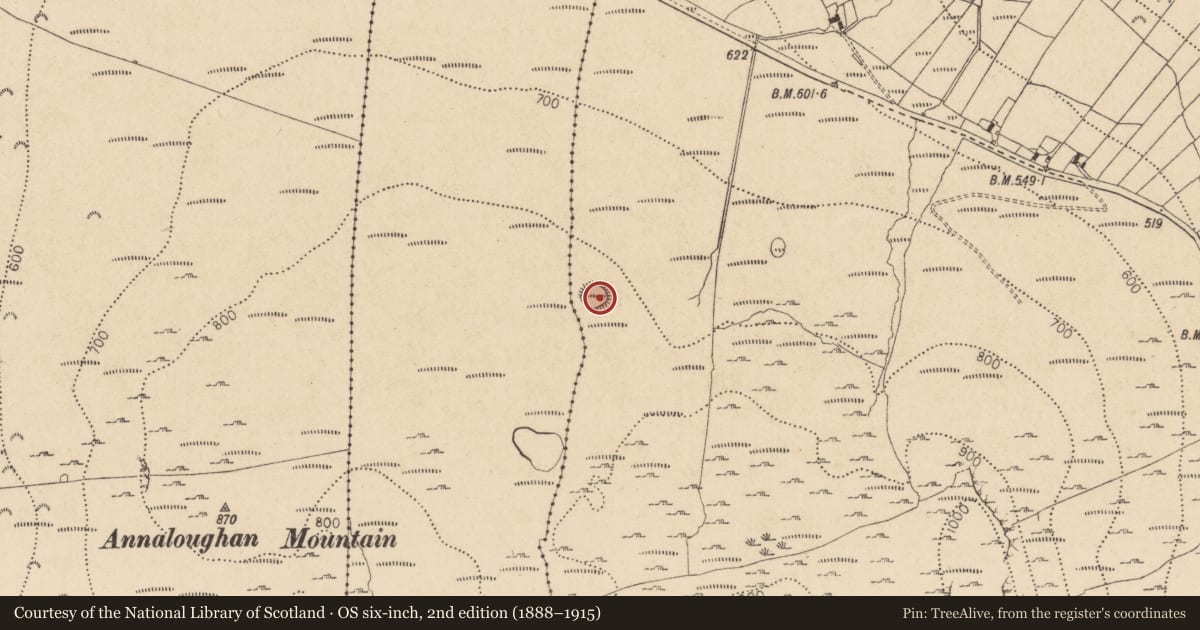 Ordnance Survey six-inch map, 2nd edition (1888–1915) covering the location of Hut site, Slievenaglogh, County Louth, with a pin at the register's coordinates