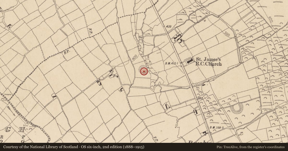 Ordnance Survey six-inch map, 2nd edition (1888–1915) covering the location of Ringfort - rath, Castletowncooley, County Louth, with a pin at the register's coordinates