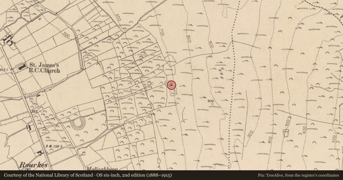 Ordnance Survey six-inch map, 2nd edition (1888–1915) covering the location of Souterrain, Castletowncooley, County Louth, with a pin at the register's coordinates