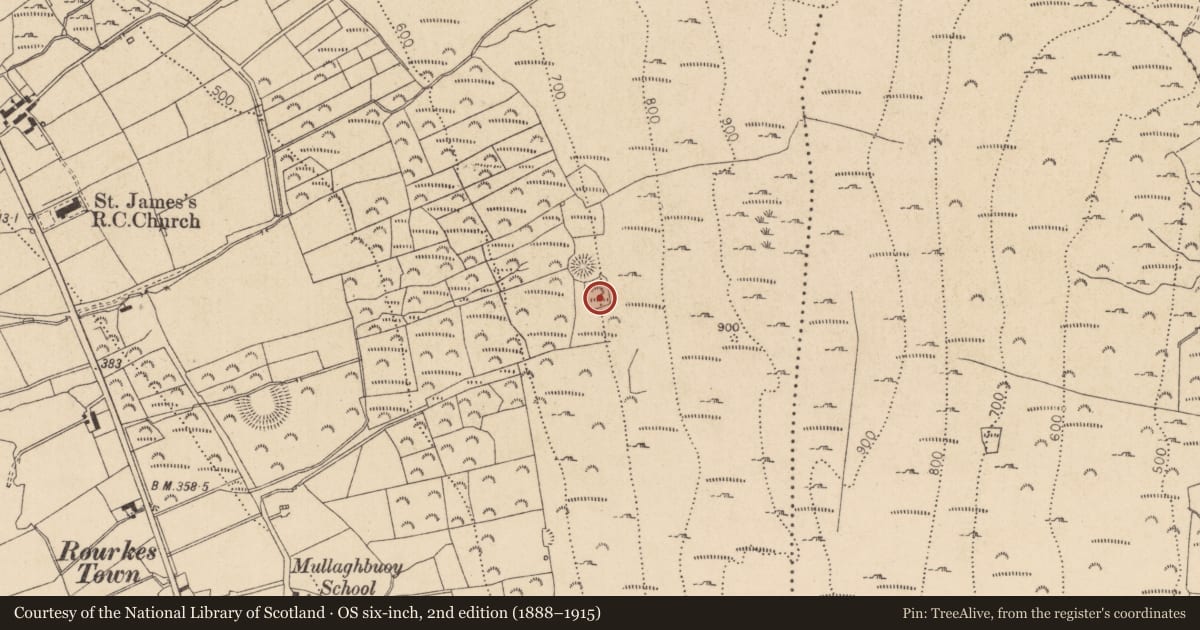 Ordnance Survey six-inch map, 2nd edition (1888–1915) covering the location of Enclosure, Castletowncooley, County Louth, with a pin at the register's coordinates
