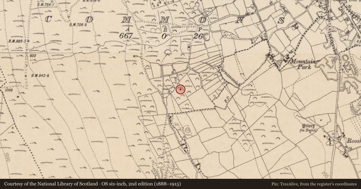 Ordnance Survey six-inch map, 2nd edition (1888–1915) covering the location of Ringfort - rath, Commons (Carlingford Par.), County Louth, with a pin at the register's coordinates