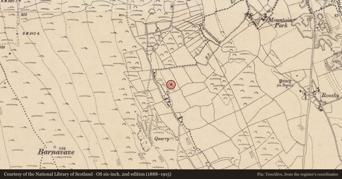 Ordnance Survey six-inch map, 2nd edition (1888–1915) covering the location of Ringfort - rath, Liberties of Carlingford, County Louth, with a pin at the register's coordinates