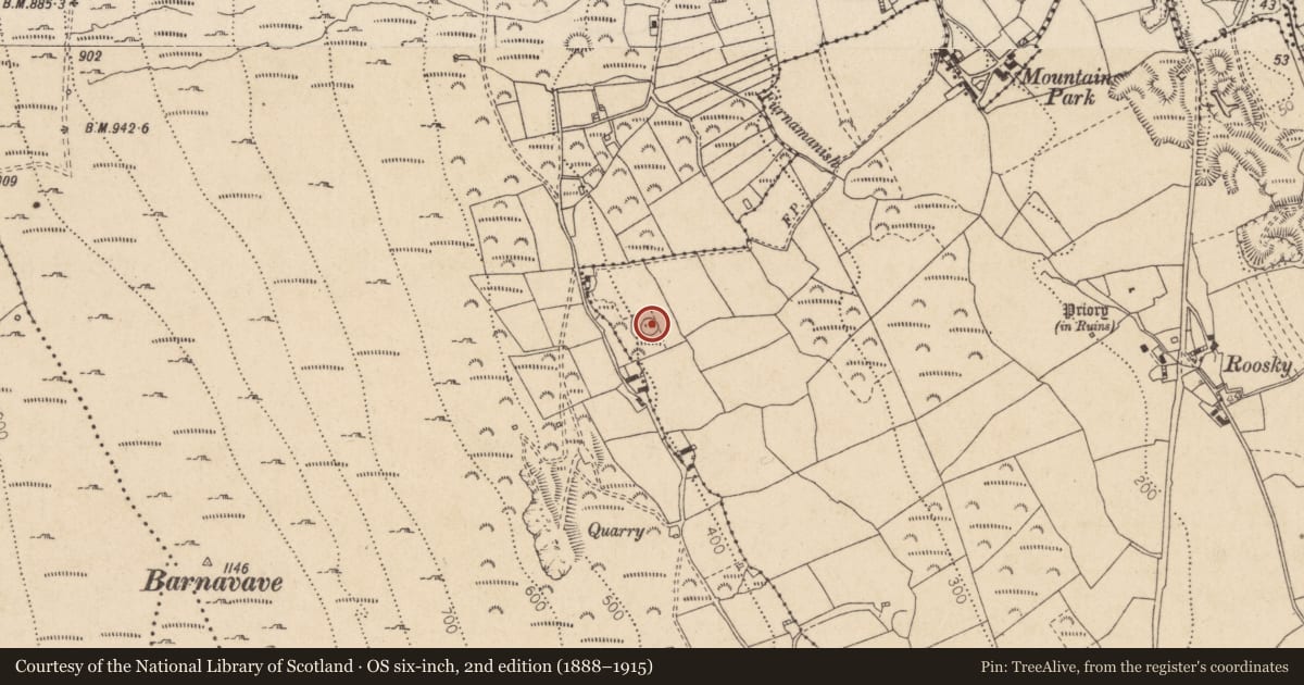Ordnance Survey six-inch map, 2nd edition (1888–1915) covering the location of Hut site, Liberties of Carlingford, County Louth, with a pin at the register's coordinates