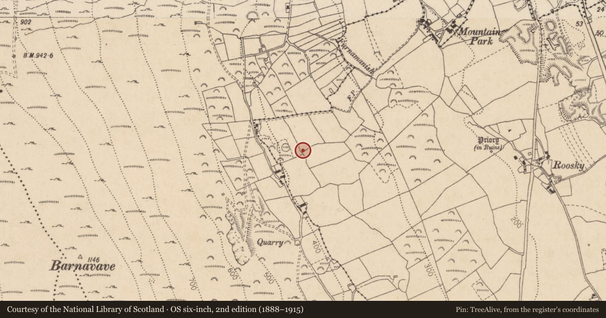 Ordnance Survey six-inch map, 2nd edition (1888–1915) covering the location of Hut site, Liberties of Carlingford, County Louth, with a pin at the register's coordinates