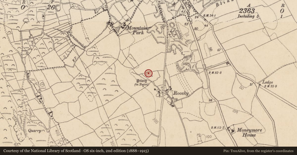 Ordnance Survey six-inch map, 2nd edition (1888–1915) covering the location of Souterrain, Liberties of Carlingford, County Louth, with a pin at the register's coordinates