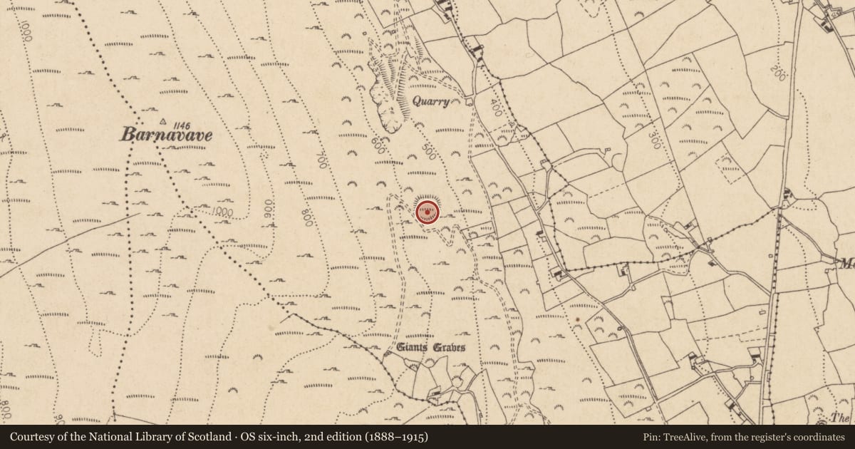 Ordnance Survey six-inch map, 2nd edition (1888–1915) covering the location of Ringfort - rath, Commons (Carlingford Par.), County Louth, with a pin at the register's coordinates