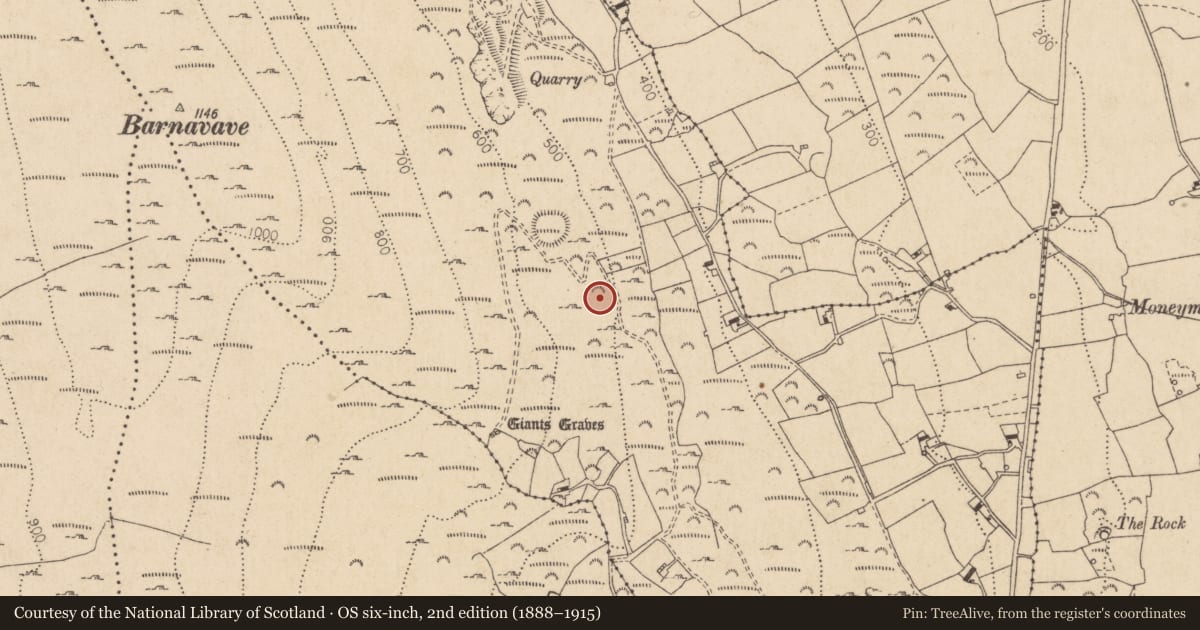 Ordnance Survey six-inch map, 2nd edition (1888–1915) covering the location of Enclosure, Commons (Carlingford Par.), County Louth, with a pin at the register's coordinates
